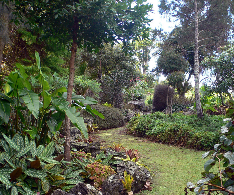 Valeside Gardens, New Zealand