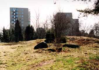 Vallingby new town2