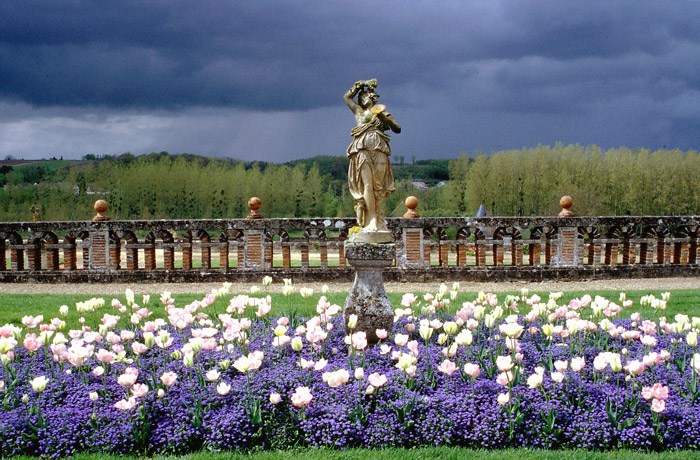 Tulips at Chateau de Valmer