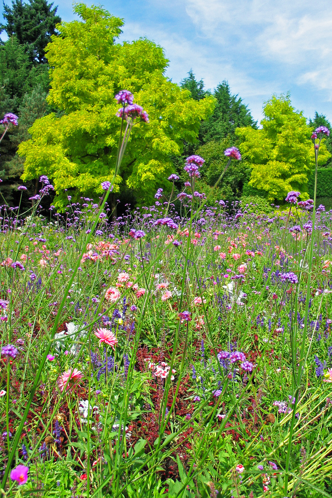VanDusen Botanical Garden Peter M Graham