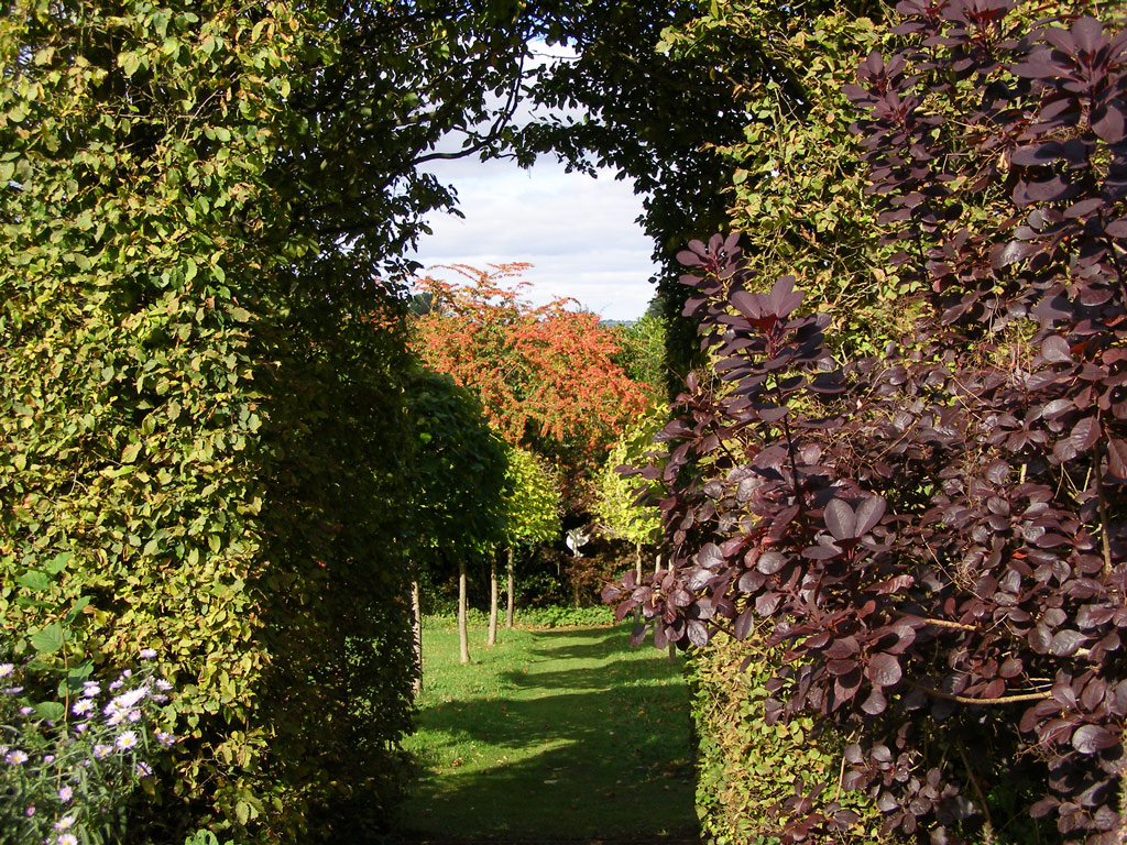 Arch, Veddw House Gardens