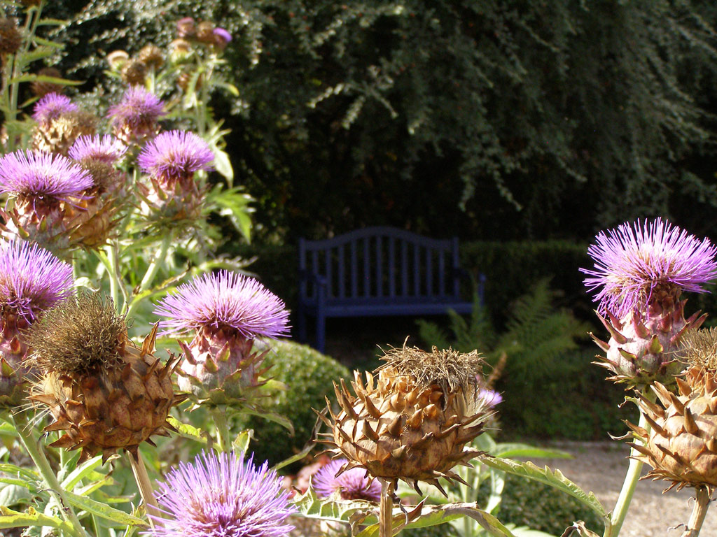 Bench, Veddw House Gardens