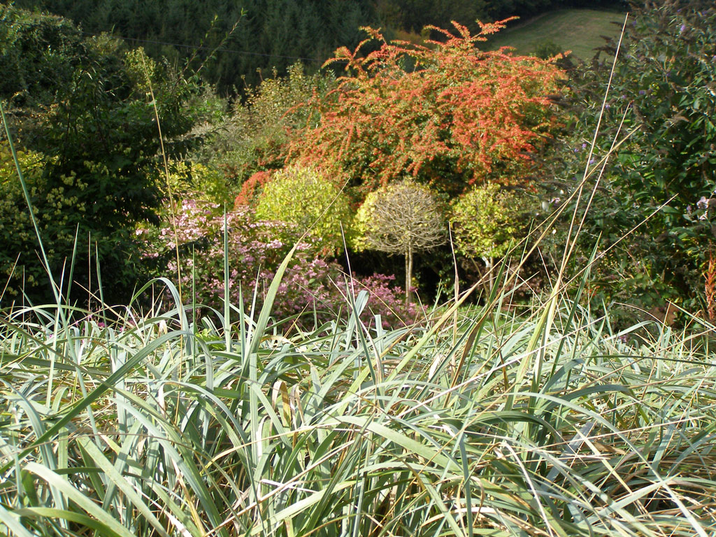 Veddw House Gardens, Devauden