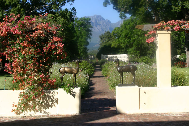 Vergelegen Garden, Western Cape