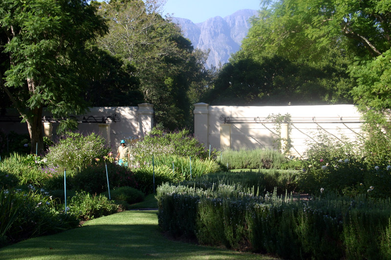 Vergelegen Garden, Western Cape