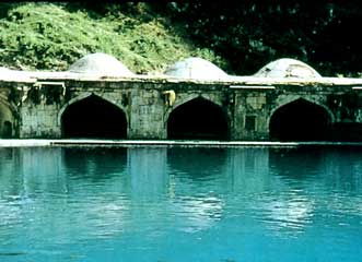Vernag garden1