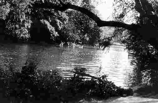 Victoria Park