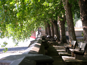 Victoria Garden