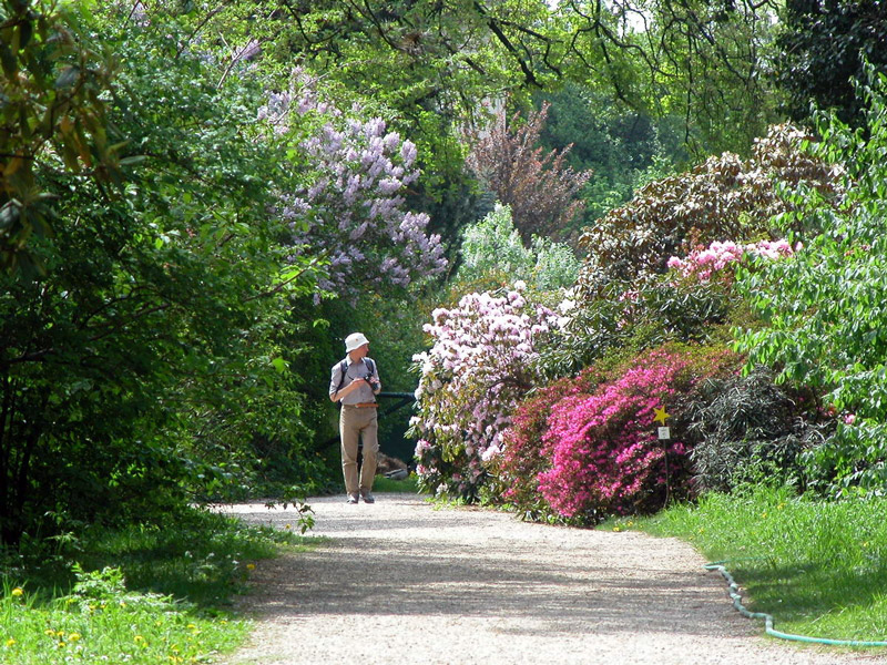 Botanical Garden of the University of Vienna, Austria