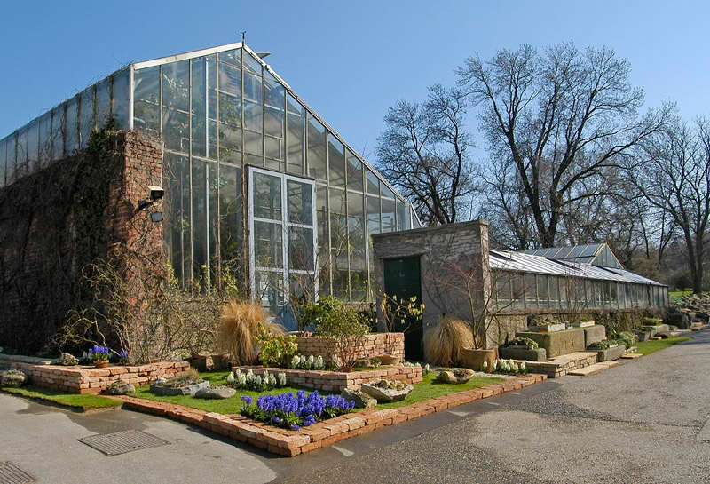 Botanical Garden of the University of Vienna