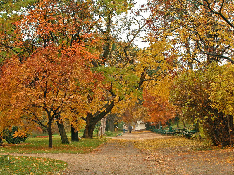 Autumn, Botanical Garden of the University of Vienna