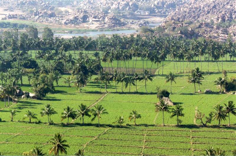 Hampi Vijaynagara