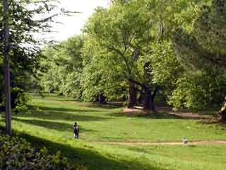 Villa borghese2