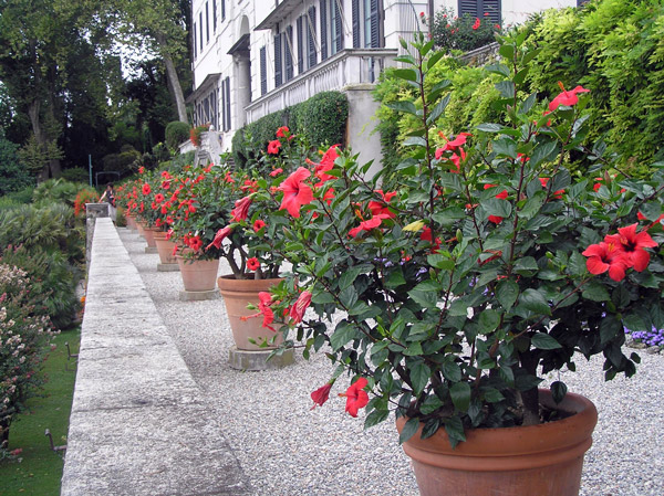 Villa Carlotta Garden