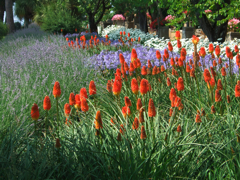 Villa Cimbrone Garden, Ravello