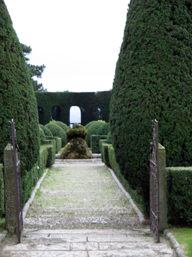 Hedges, Villa Gamberaia