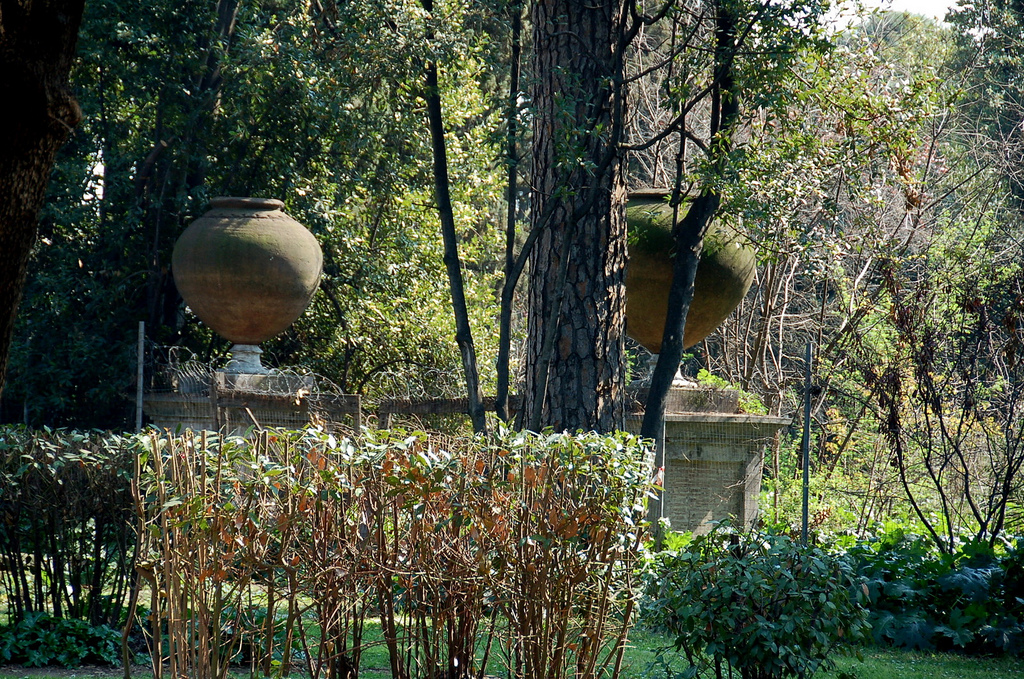 Villa Mattei James Stringer