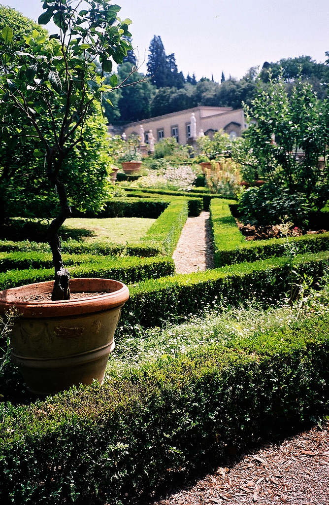 Villa Medici at Castello (Villa Reale) Juliet Geldi
