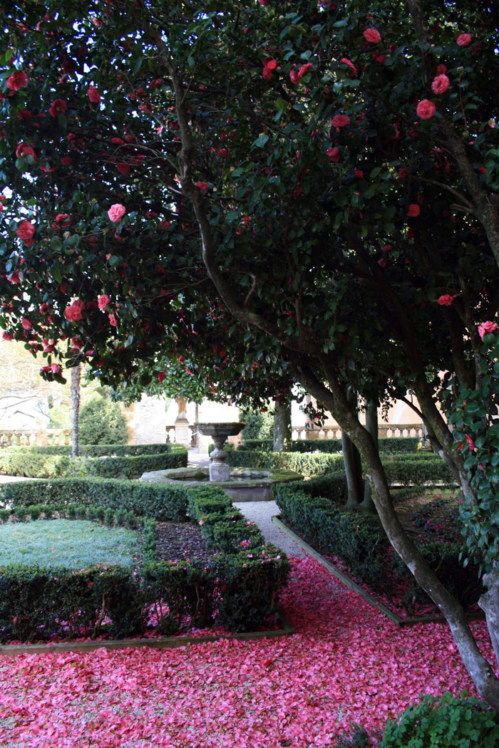 Villa Mondragone Garden