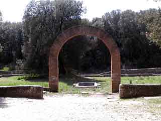 Villa pliny garden