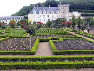 Villandry garden1