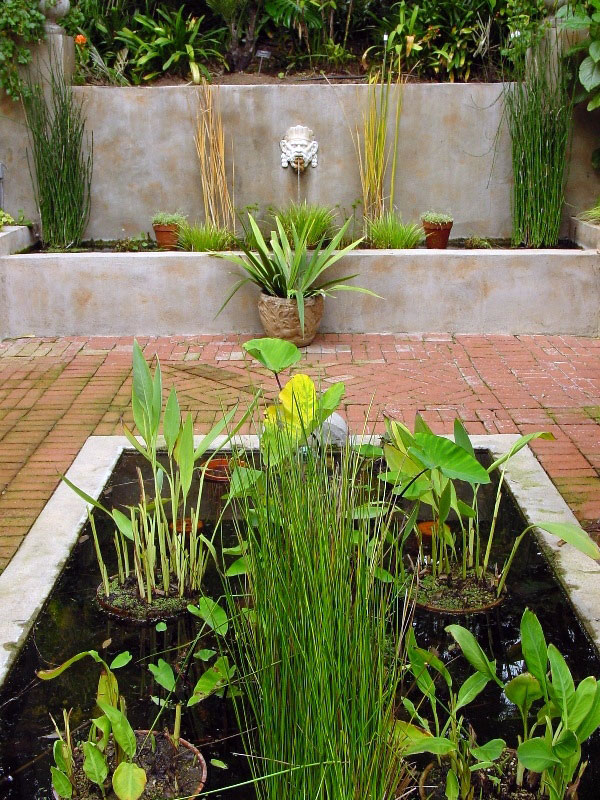 Pool, Virginia Robinson Gardens