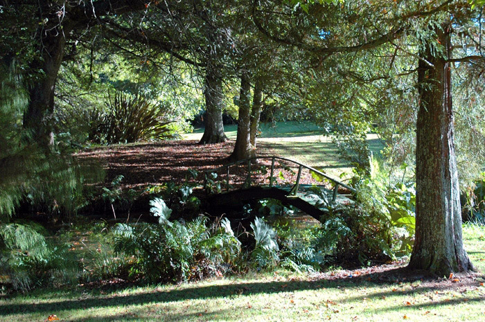 Bridge, Waihi Waterlily Gardens