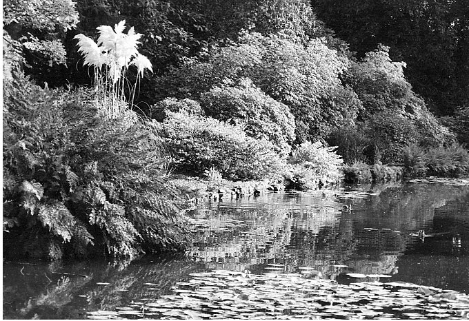Illustrations on CD edition of Garden Visit and Travel Guide - see www.gardenvisit.com/order_form.htm