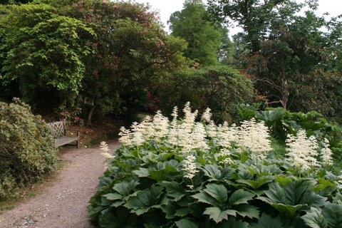 Wakehurst Place