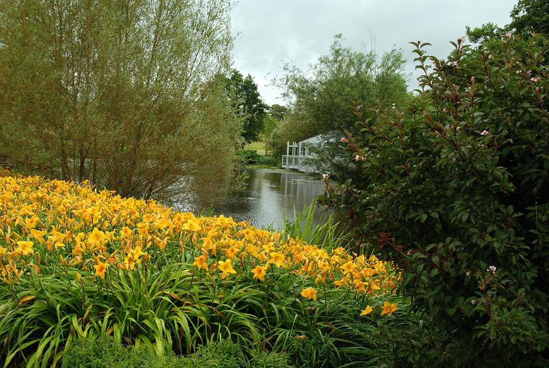 National Botanic Garden of Wales, July