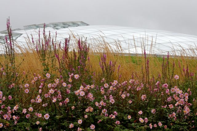 Wales National Botanic