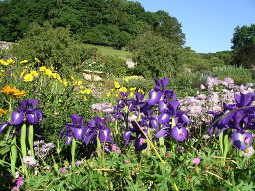 Cutflower Border at Wallington Garden