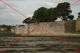 Walls Berwick