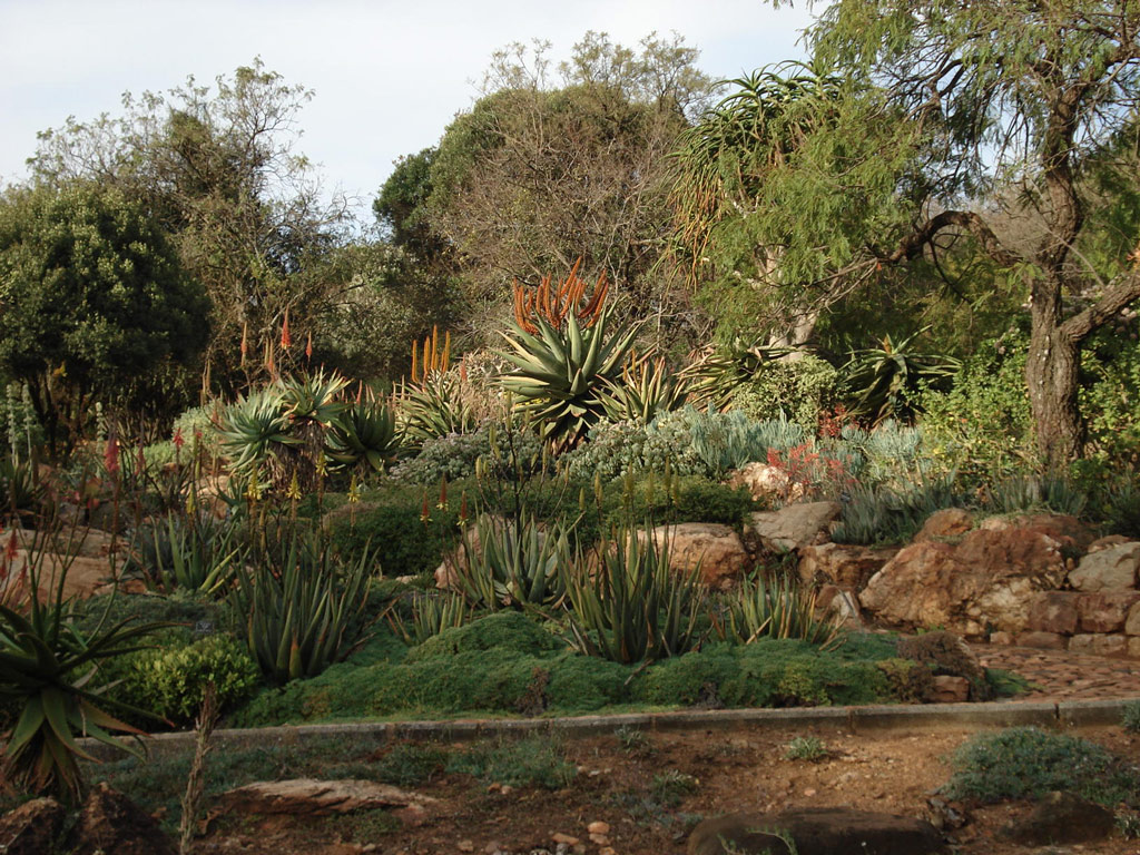 Walter Sisulu National Botanic Garden, 2009