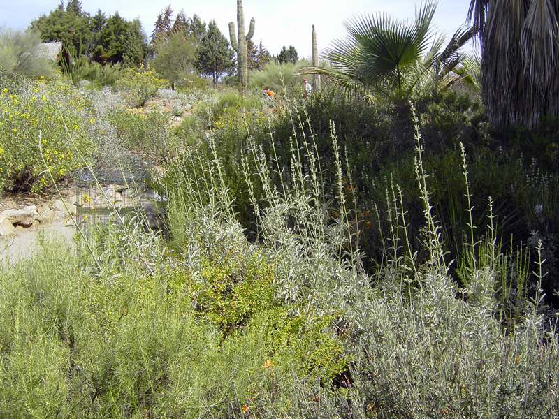 Wild Animal Park, California