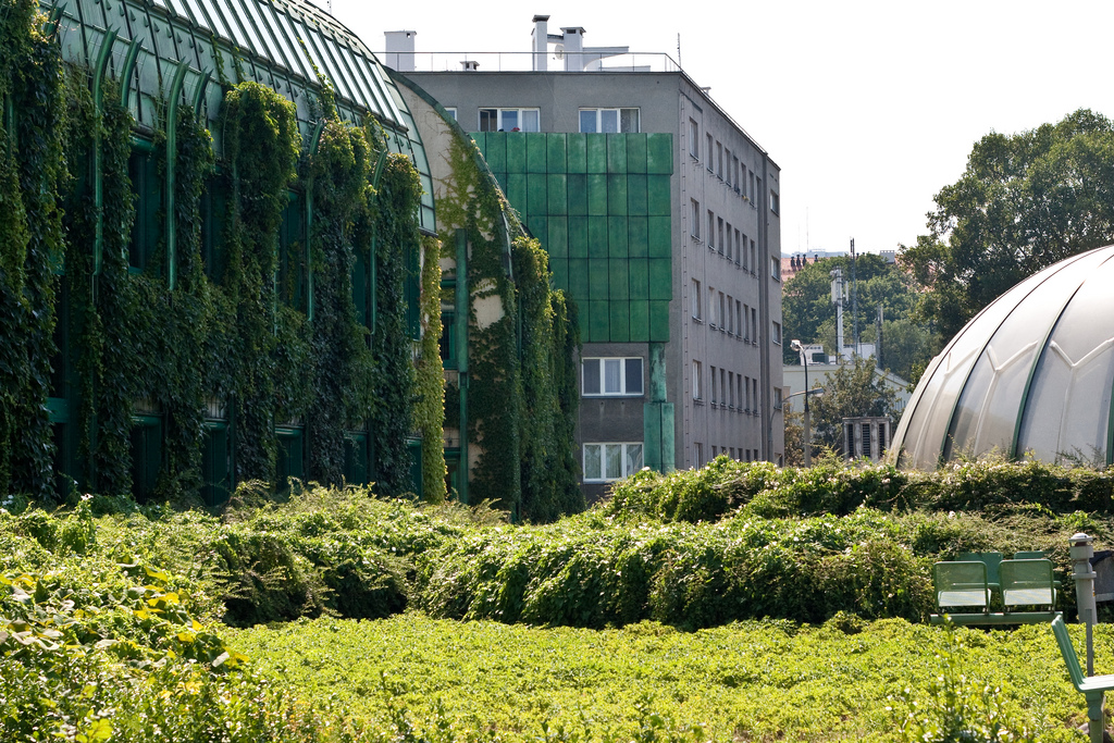 Warsaw University BUW Library Garden