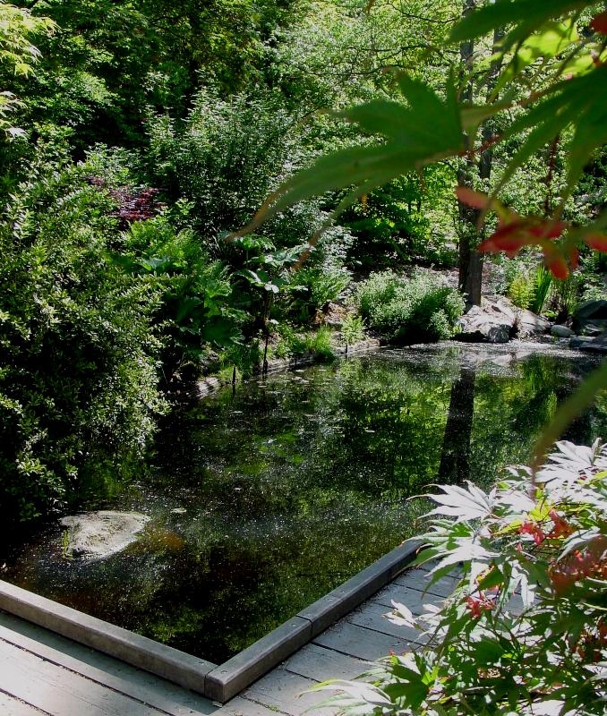Pool, Washington Park Arboretum