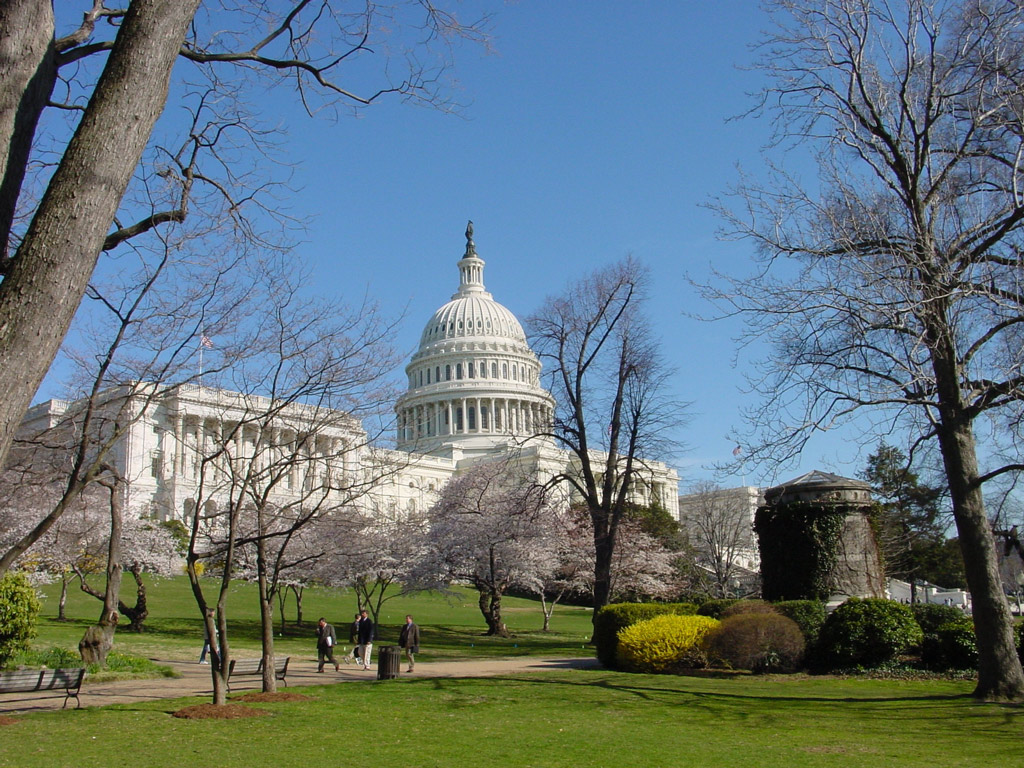 United States Capitol, Washington DC