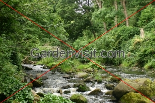 Water of Leith