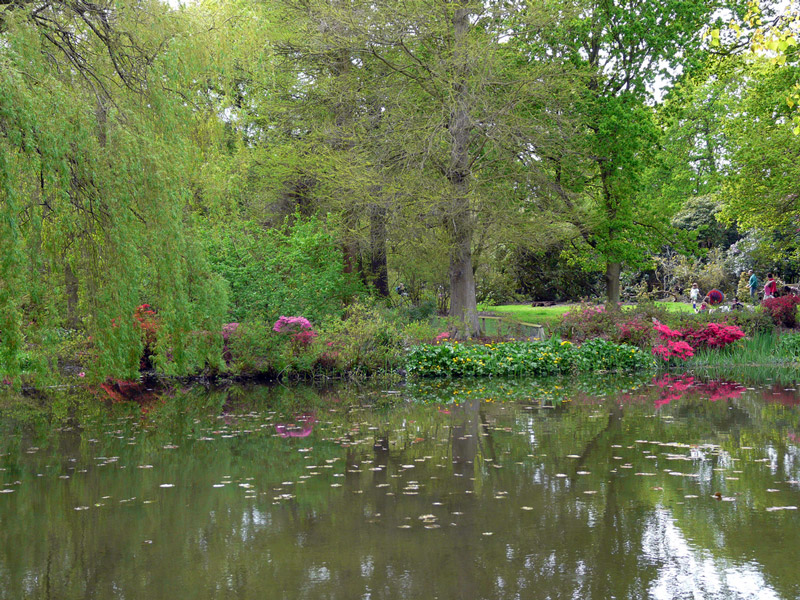 Woodland Gardens