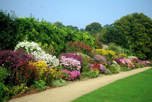 Waterperry herbaceousborder