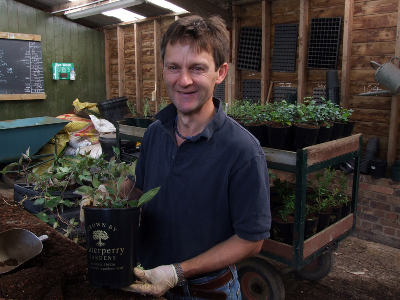 Shrub Nursery Manager, Waterperry Gardens Nursery