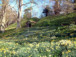 Weir garden