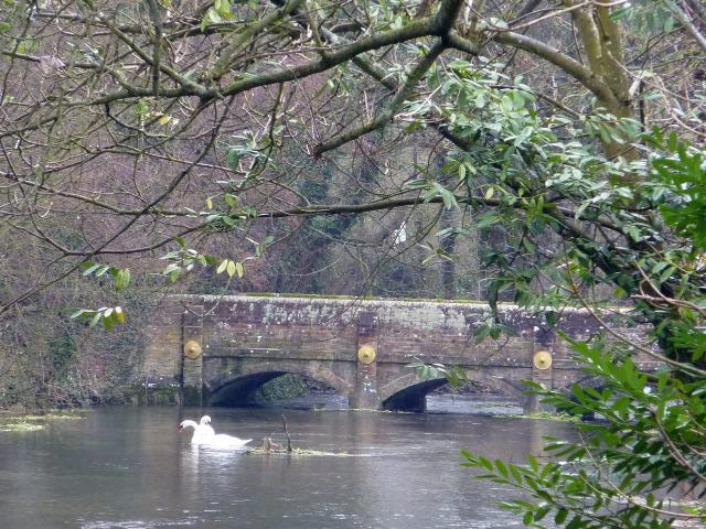 Welford Park, 2010