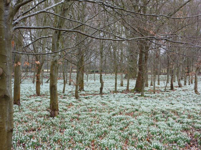 Welford Park, Berkshire