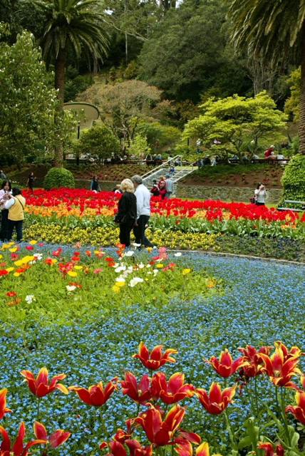Wellington Botanic Garden, New Zealand