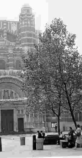 Westminster Cathedral Precint