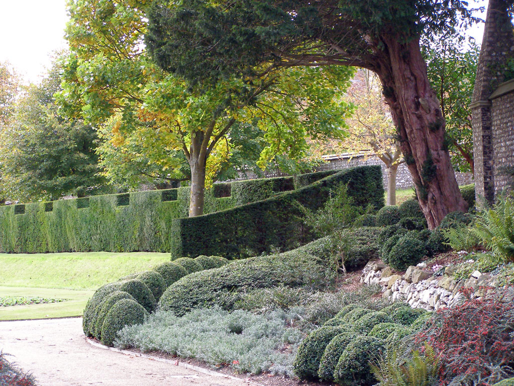 Hedge, West Dean Gardens