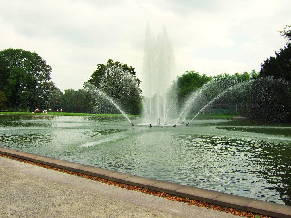 Westfalenpark, Dortmund Daniel Straight