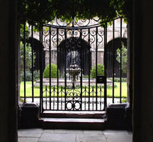 Westminster cloister garden